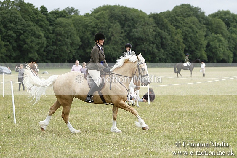 BVR160717-200 - Ring 3 BVRC Show 16/07/17