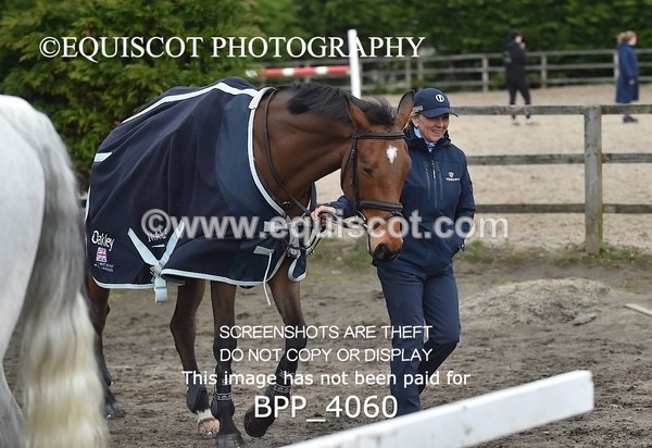 BPP_4060 - CLASS 7 Senior 1.25m & 1.30m Open Handicap