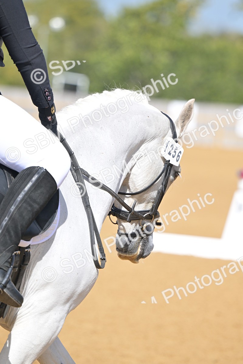 SBM_08089 - D8 - Small Tour Championship Prelim 1