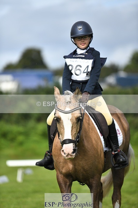 230826-102231-15457 - Sections C & D 10 to End