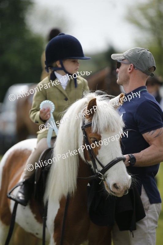 20260426-2170 - Class 9 - Handsomest Gelding