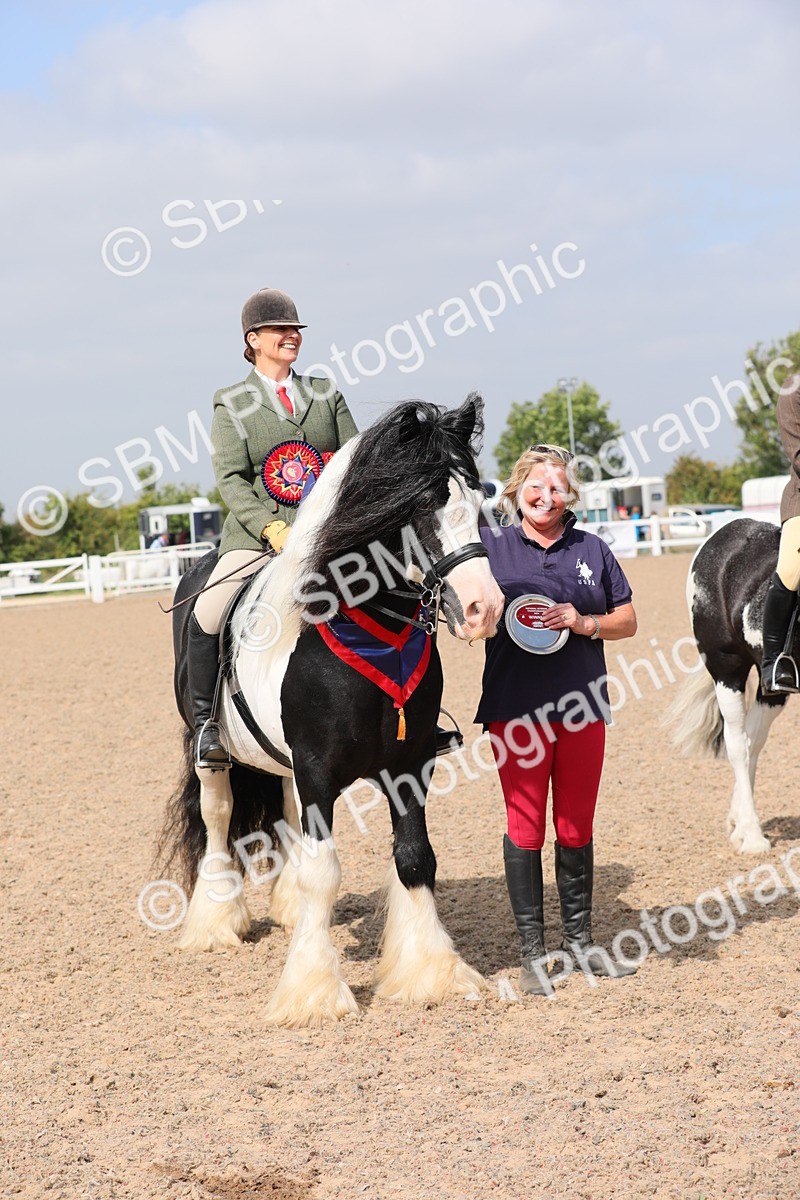 SBM_12843 - Class 307 Ridden Coloured Pony
