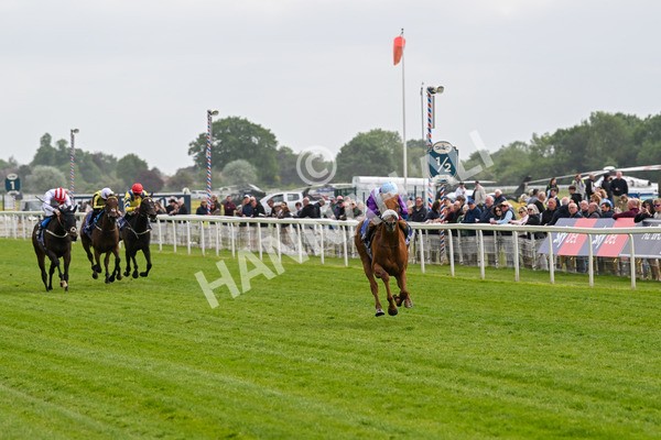 150525-See The Fire-4426 - Race 3 3.13pm Al Basti Equiworld Dubai Middleton Fillies' Stakes