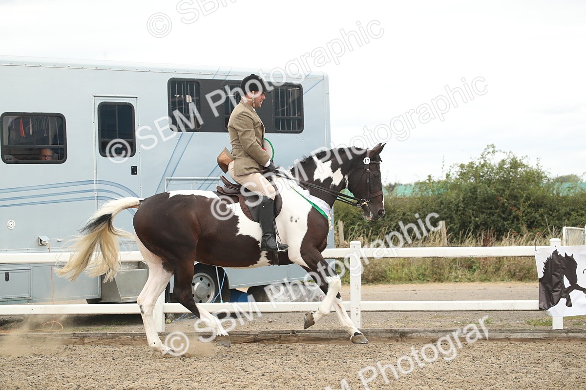 SBM_18338 - Class 509a - Working Veteran - 80cm (15-19)