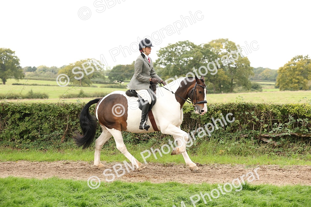 SBM_67244 - S67 - Piebald & Skewbald Horse Ridden