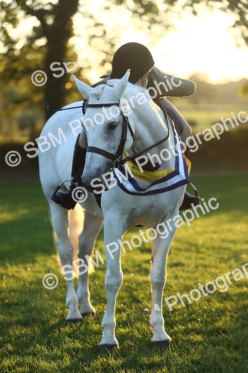 SBM_56674 - Fun & Versatile Supreme Championship