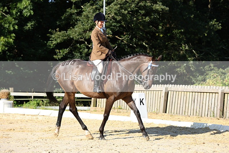 1X9A7535 - Class 7: Novice Ridden Hunter/Hack/Cob/Riding Horse