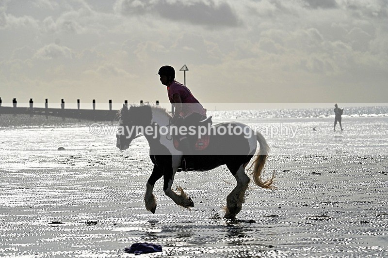 WJ7_3987_1 - Kellie & Churchill ... do Hayling Island 25-08-24
