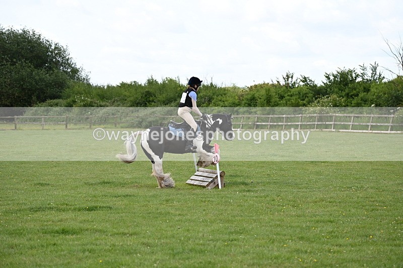 WJ6_2713 - Class 2 40cm