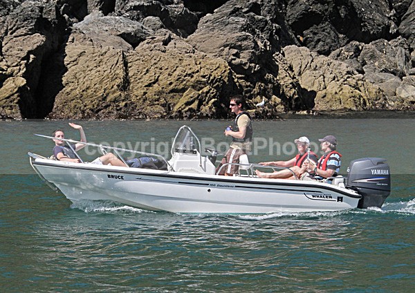 100726 BRUCE BOSTON WHALER IMG_5780 - RIBs, Tenders, Dories, Dinghies
