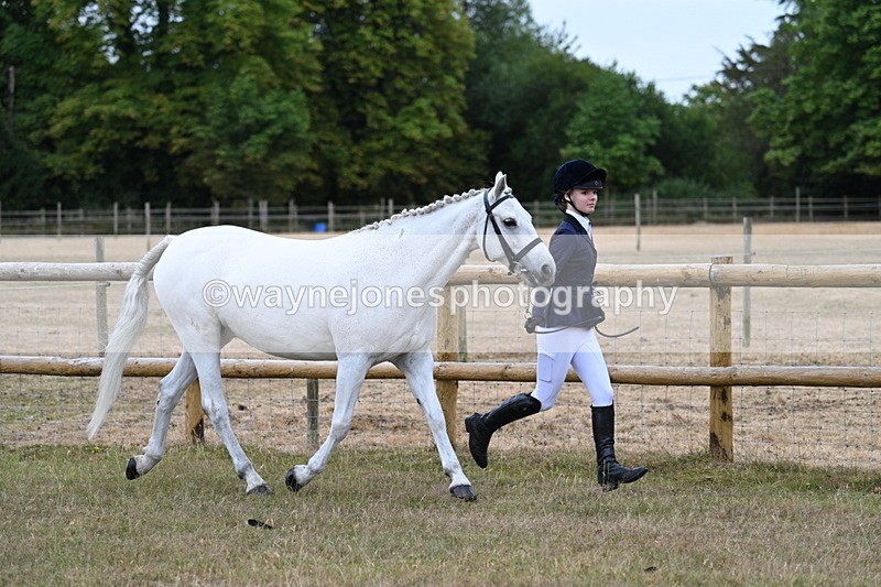 WJ7_8809 - Class 4a Prettiest Mare 14.2hh and over