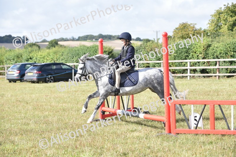 20250831-0456 - Class 7 - Absolute Novice 35cm