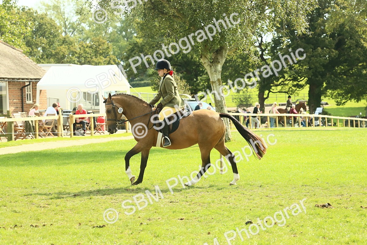 SBM_68869 - S58 - Mini Show Cob Ridden