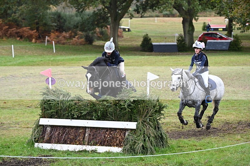 WJ6_2999 - 80cm Cam 1 Pairs Time 12:19 to 12:49