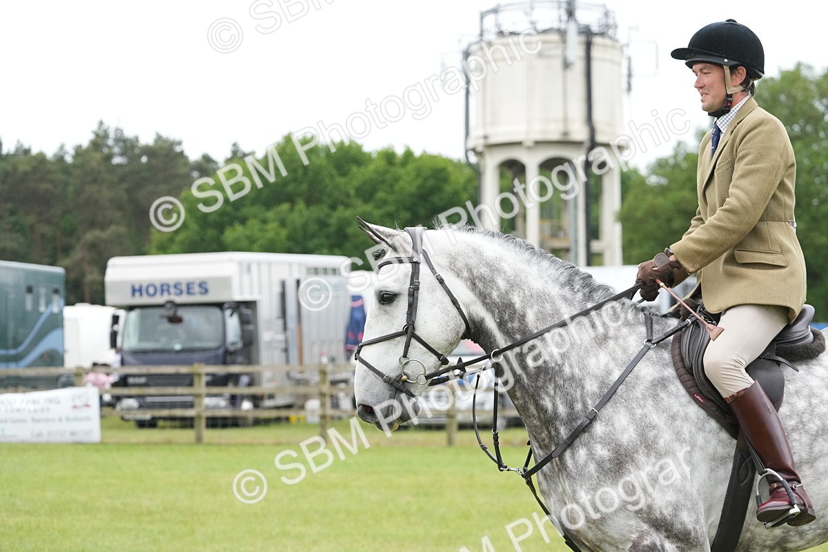 SBM_12599 - Class 97-98 - LIHS BSHA Rising Star Working Show Horse Hunter
