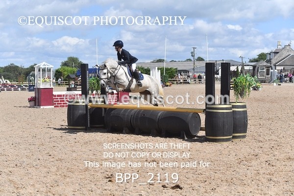 BPP_2119 - DERBY CLASS 6 - 70CM