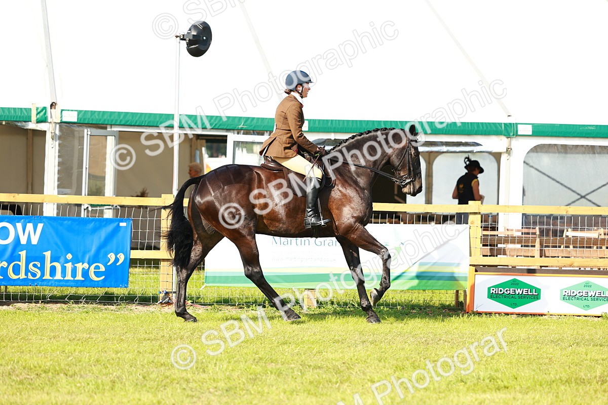 SBM_10895 - Class 66-69 - RIHS Ridden Hunters Inc Small Hunter