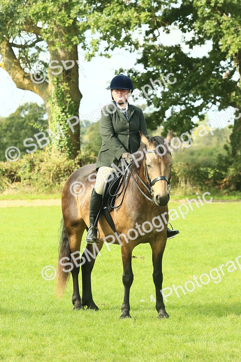 SBM_62670 - S63 - Other Coloured Horse Ridden