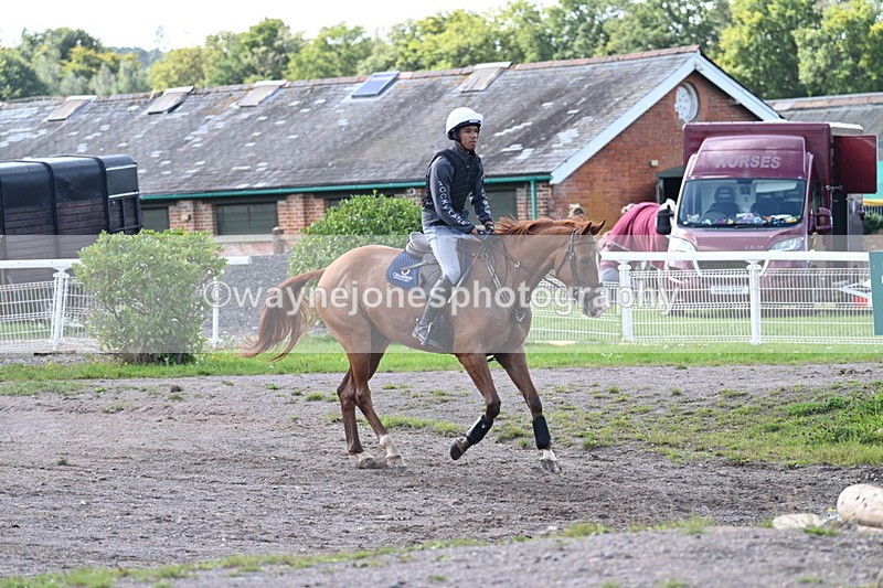 WJ7_0250 - Time 11:02 to 11:34