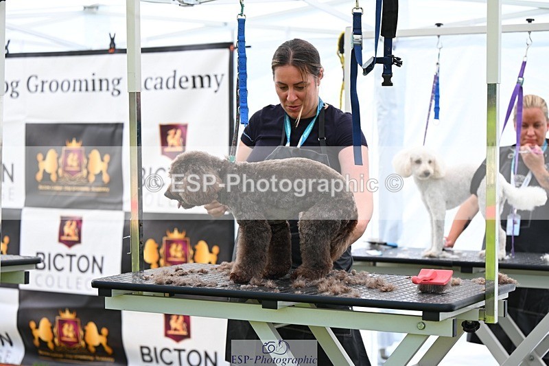 240525-114930-12642 - Candid and Saturday Hobby Horse