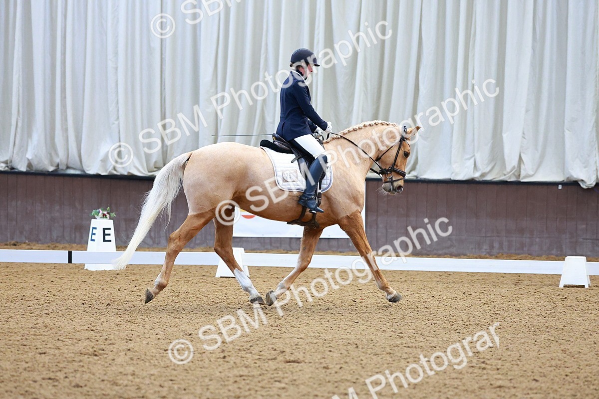 SBM_001167 - Class 18-15-16-22 - Elementary 5 Novice 5-Novice 6