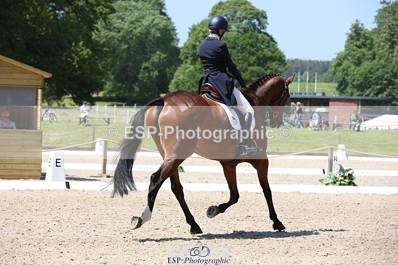 230526-130033-06300 - 164-TREBOR-Kelly_Mccarthy-maine-WEDTrotUp+DR