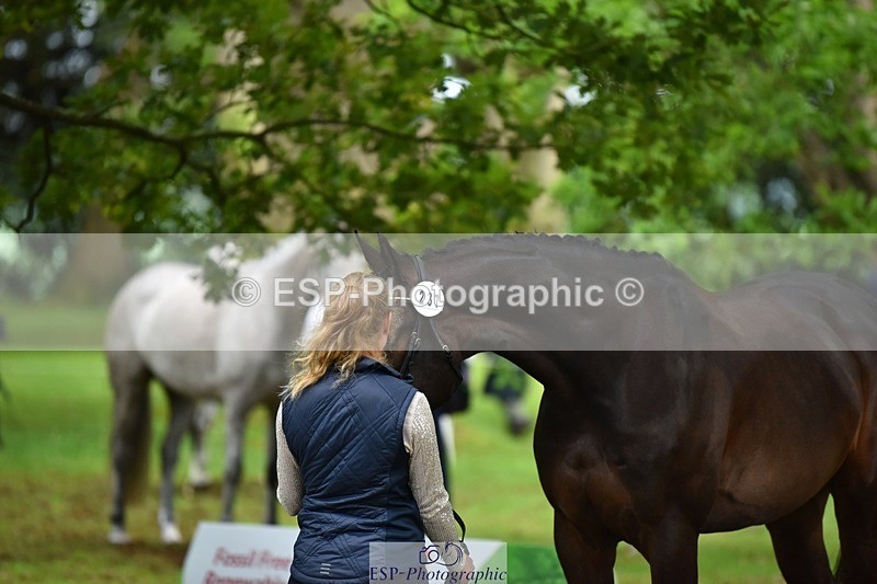 240522-170404-01361 - 237-UNDERDOG_Z-Izzy_Taylor