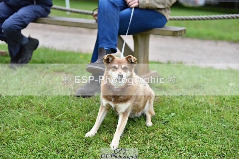 240523-193950-06610 - Candid and Saturday Hobby Horse