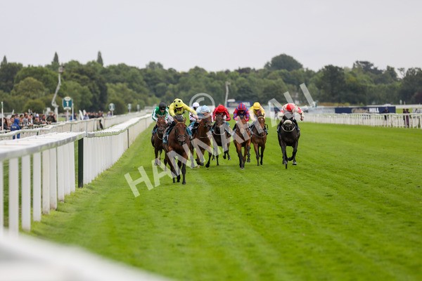 120724-Race 5-Sisyphean-1757 - Race 5 4.20pm George Blades Memorial Handicap
