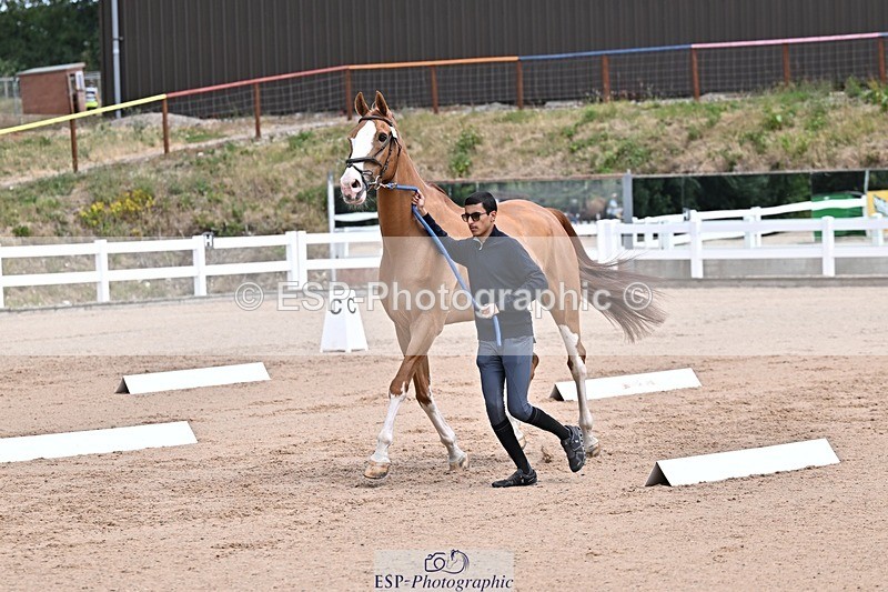 250716-130218-00273 - Trot Up 12.30 to 1.30