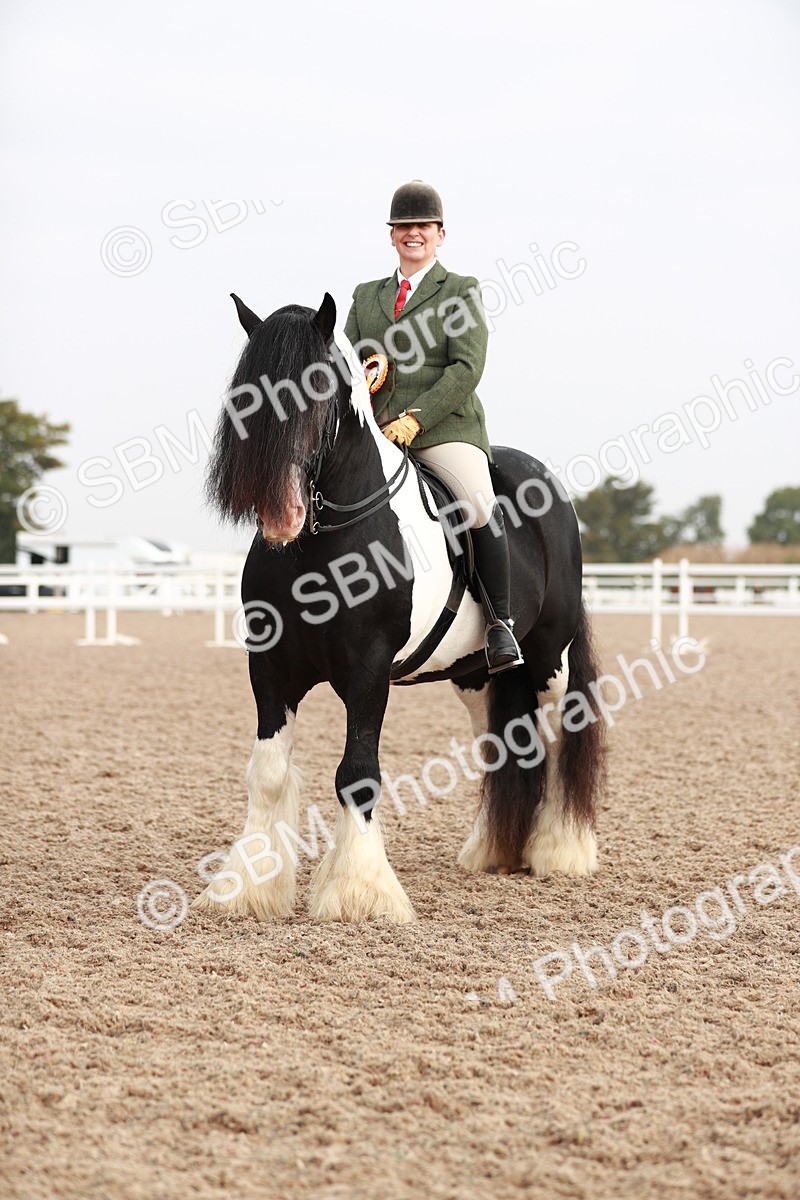 SBM_09458 - Class 202 Best Turned Out Ridden