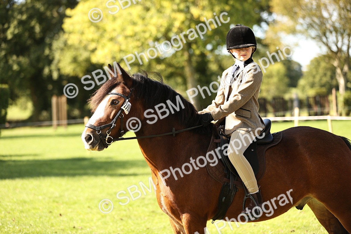 SBM_19058 - S3 - TSR Ridden Pony Showing