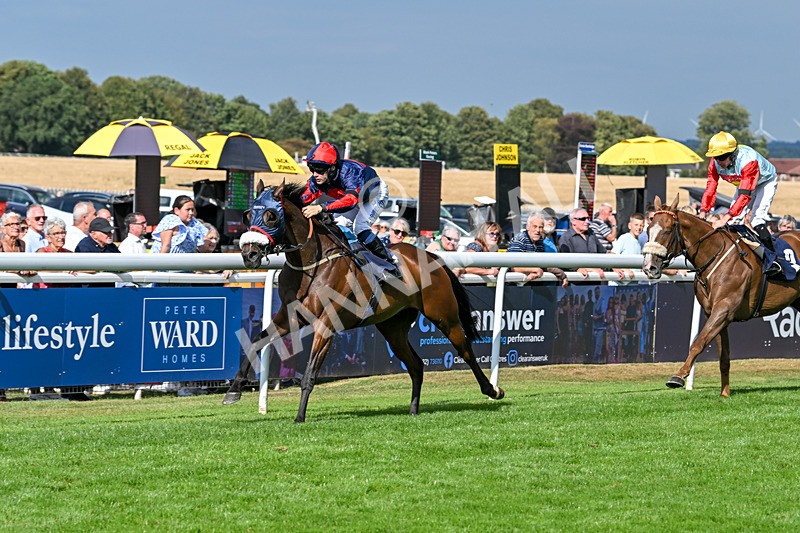 140825-Race 5-Chillhi-1526 - Race 5