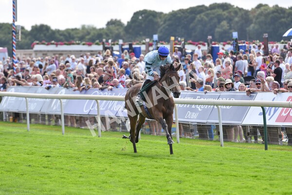 yr19082022r2-41 - Race 2 2.25pm Weatherbys Hamilton Lonsdale Cup (British Champions Series Race)