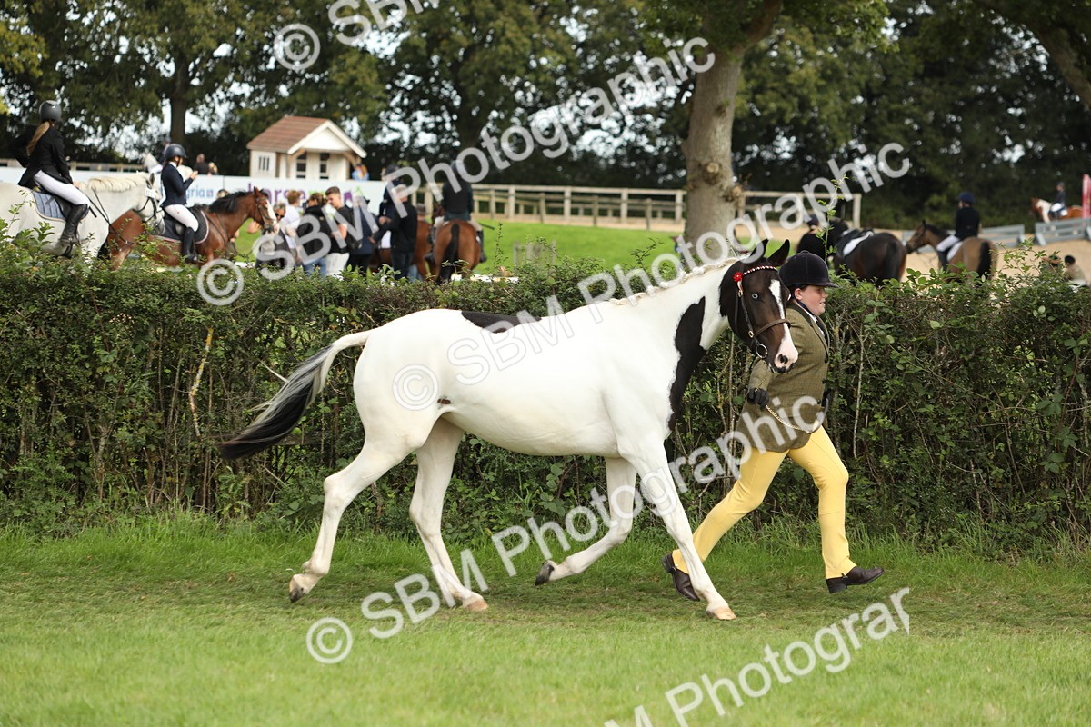 SBM_68543 - S40 - Junior Handler 9-12 Years