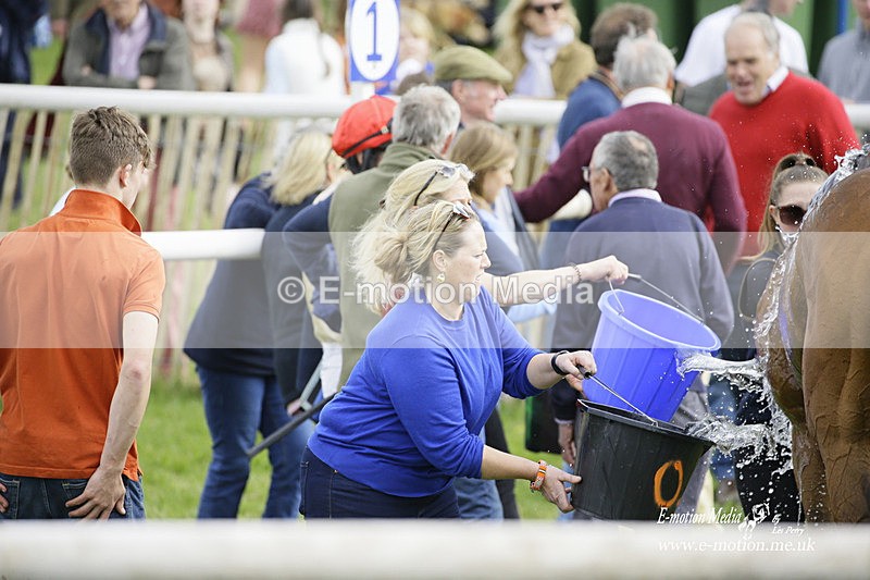 PtP 180422 132 - Old Berkshire PtP Lockinge 18/04/22