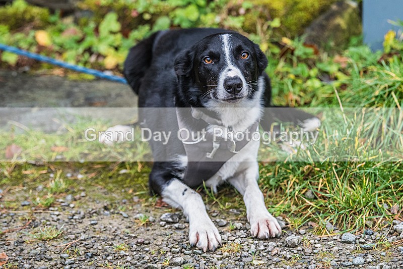 Derwentwater-4 - Derwentwater 10 Mile Road Race Sunday 2nd November 2025