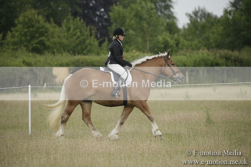 B230619-0199 - Bourne Valley Riding Club Summer Show 23/06/19