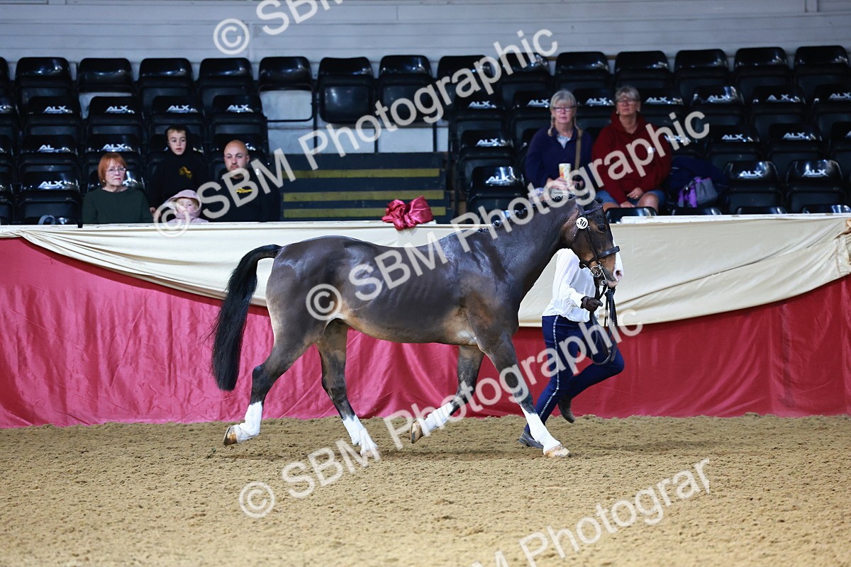 SBM_21733 - Class 901 - Supreme Final - IH  Diamond