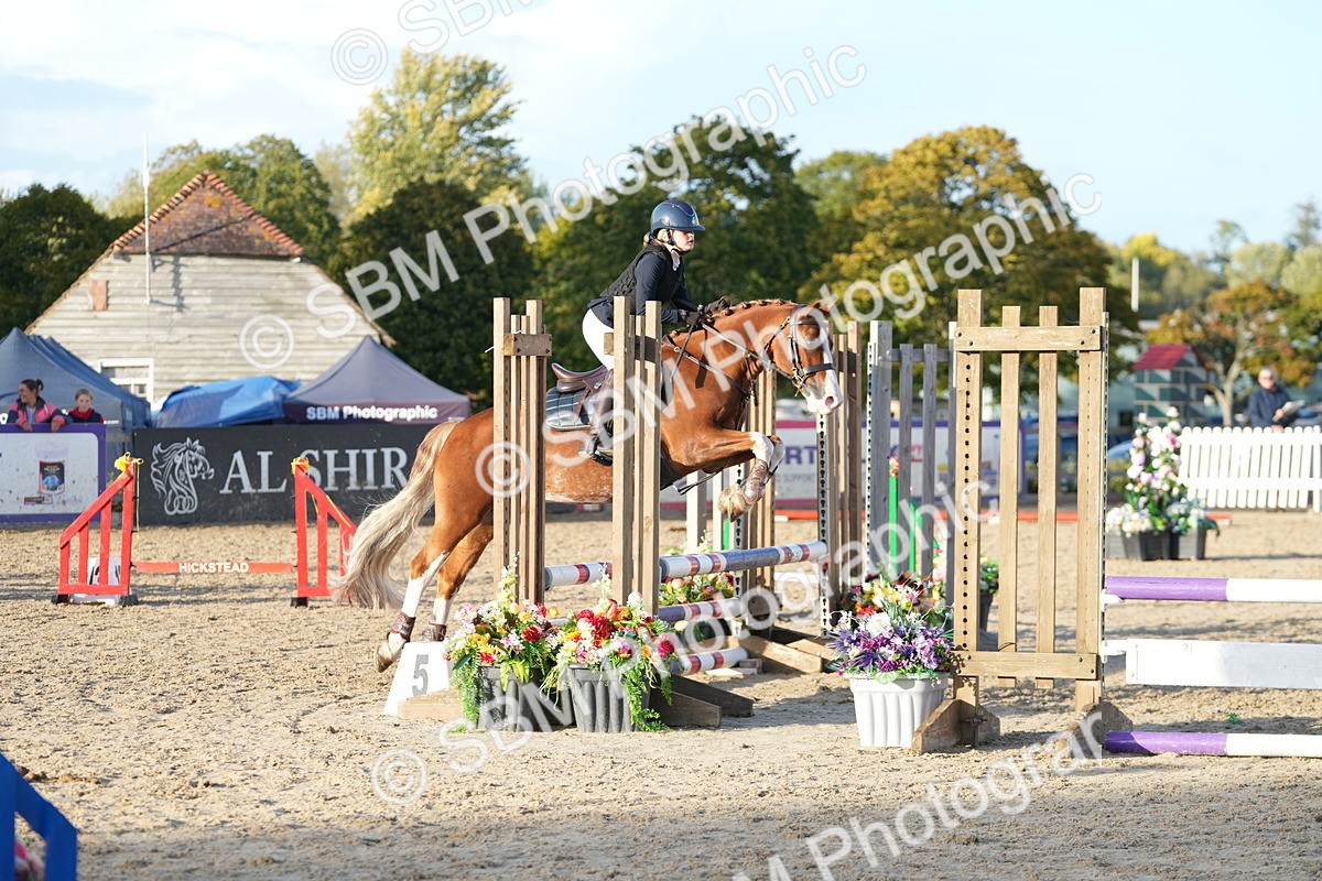 SBM_29415 - J44 - Horse & Hound Open 70cm