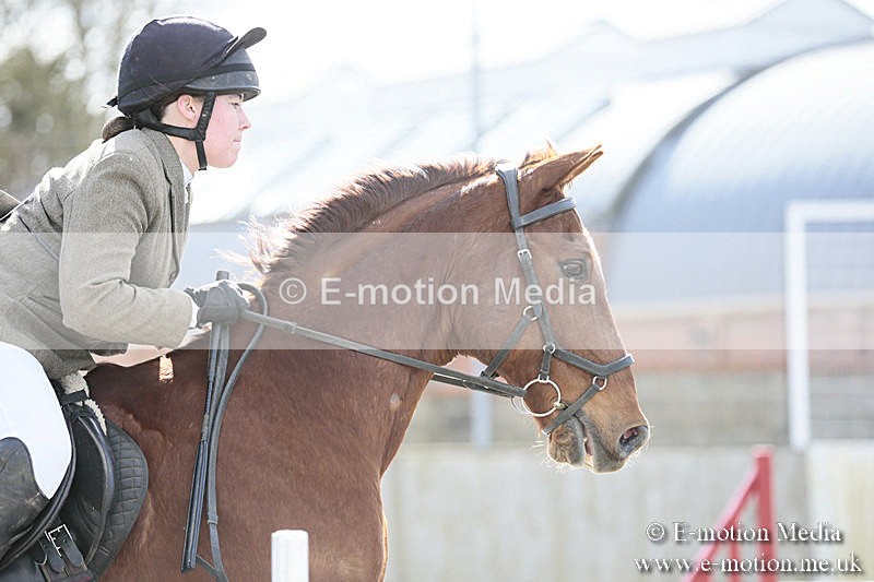 BVRC SJ 170319 424 - Bourne Valley Riding Club Showjumping 17/03/19