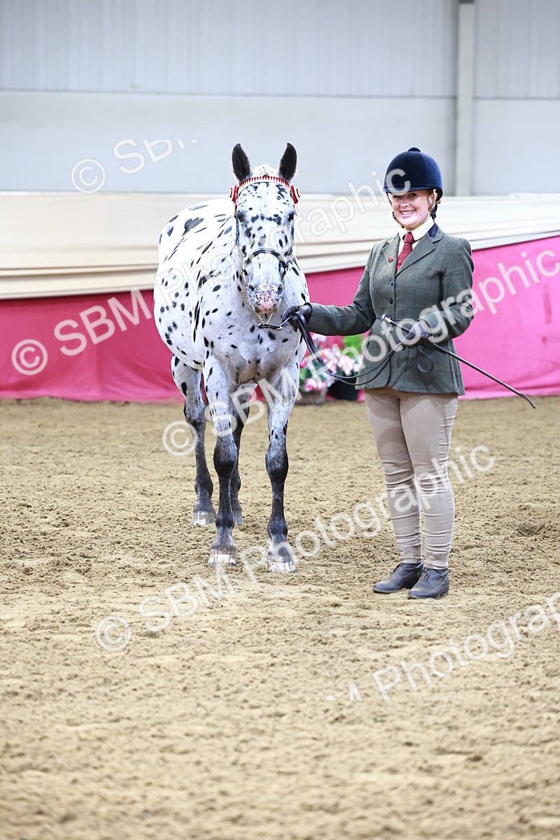 SBM_21816 - Class 901 - Supreme Final - IH  Diamond