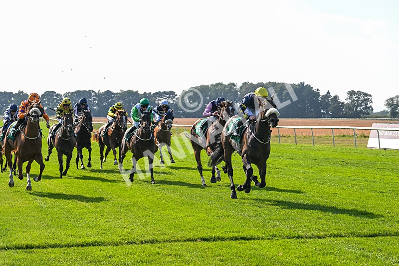 300824-Race 5-Shesashambles-6197 - Race 5