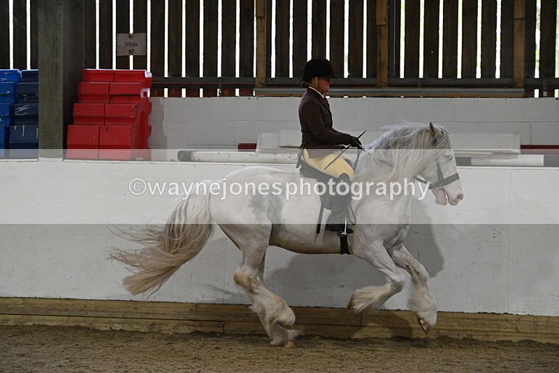 WJ7_4241 - Class 17 Ridden Cob