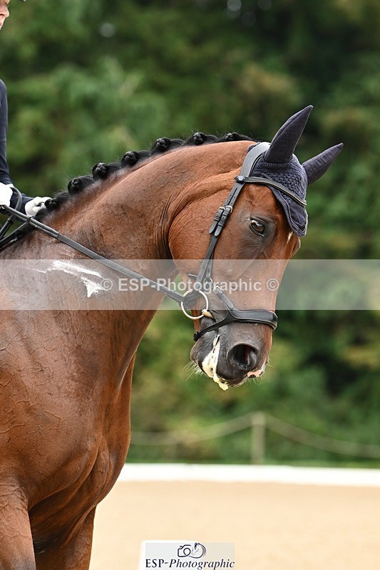 240811-105025-05339 - 213-Bryony.Goodwin-Dion.II