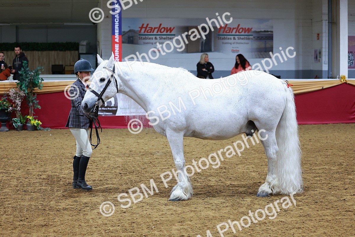 SBM_00315