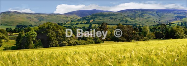 Panoramic landscape photo in the Vale of Clwyd