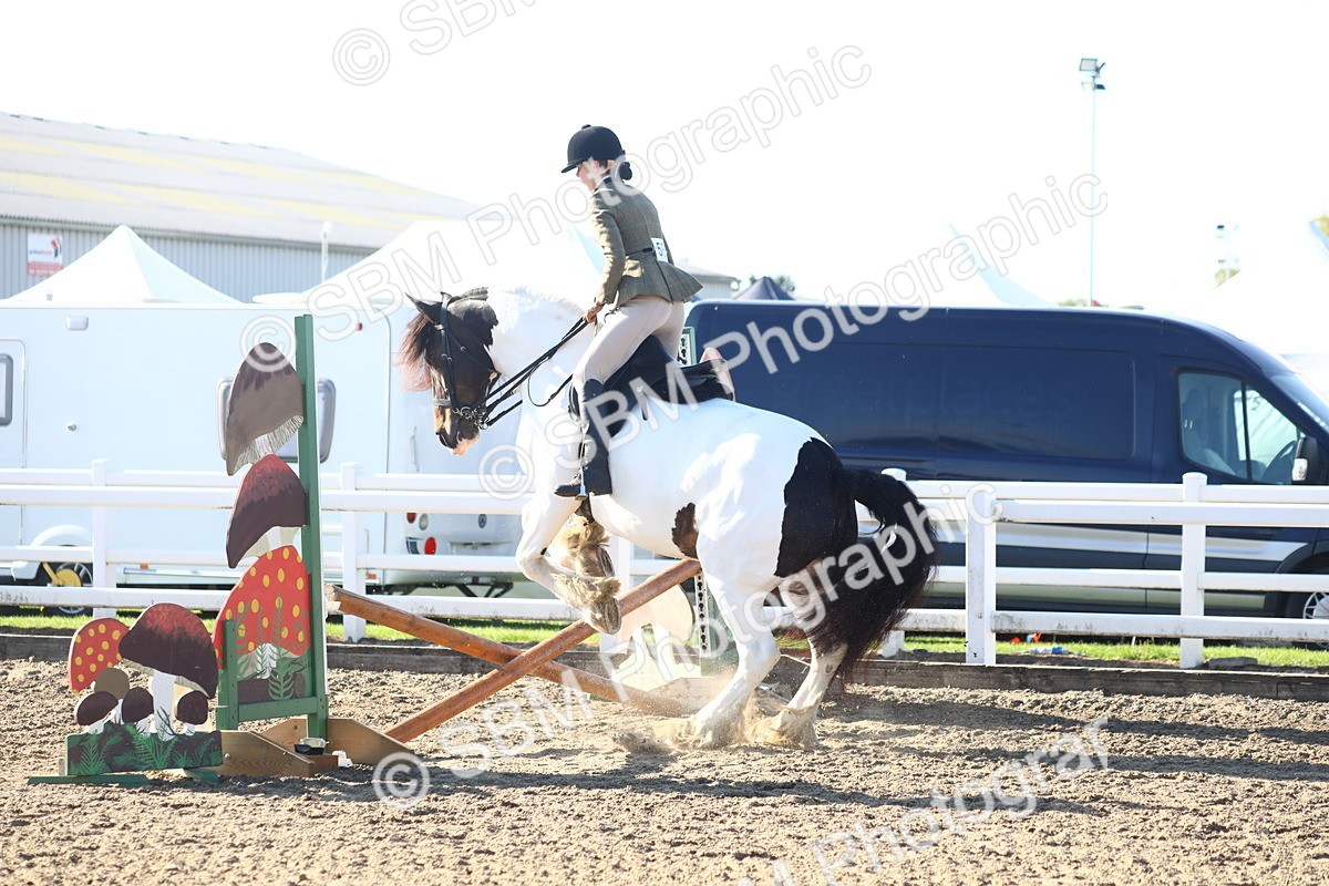 SBM_08581 - Class 502 - Riding Club Horse