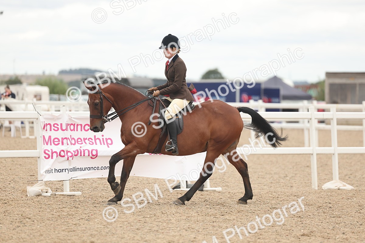SBM_19157 - Class 316 - Best Pony-Rider Combination