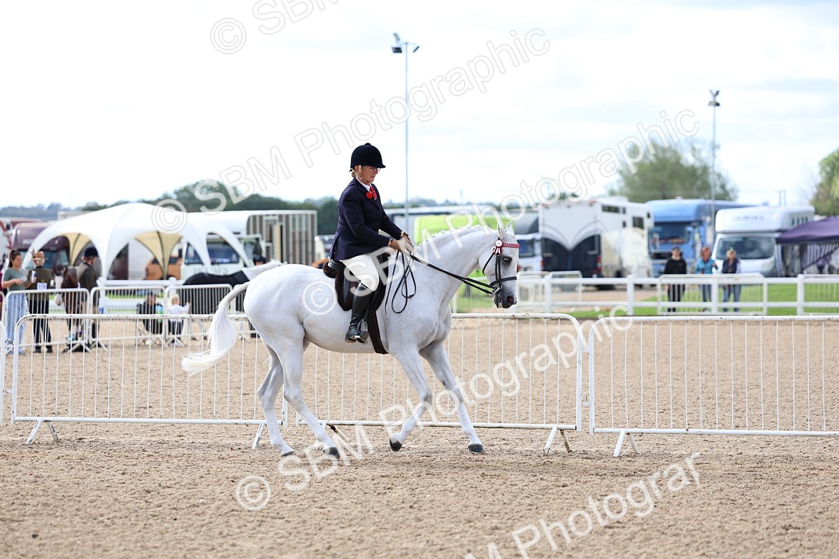 SBM_10048 - Class 304 - Ridden Part Bred Horse Pony